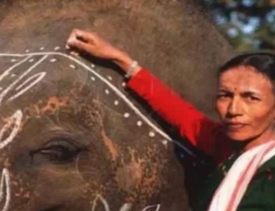 Meet-Indias-First-Woman-Mahout-Awarded-Padma-Shri.webp