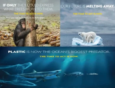 NatGeo-Rolls-Out-Earth-Day-Videos-To-Create-Changemakers.webp