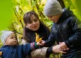 Controlled Parenting Has Pitfalls