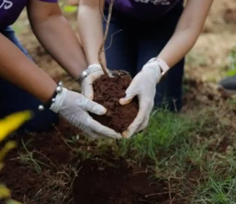 FedEx Helping Safeguard Biodiversity In India