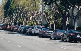 OFBJP In LA Has Largest Diaspora Car Rally In Support Of Modi Re-Election