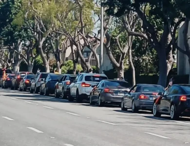 OFBJP In LA Has Largest Diaspora Car Rally In Support Of Modi Re-Election