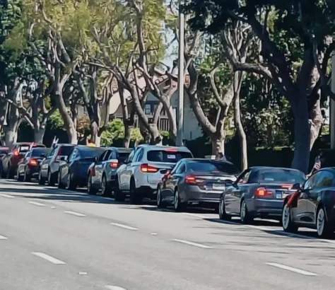 OFBJP In LA Has Largest Diaspora Car Rally In Support Of Modi Re-Election