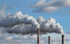 Air Pollution Exposure In Childhood Affects Lungs Later: USC Scientists