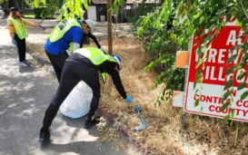Working-For-A-Green-Future-Organization-Works-On-Cleanliness-Tree-Planting.webp