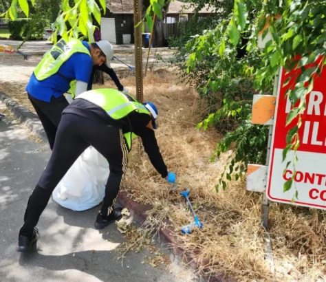 Working-For-A-Green-Future-Organization-Works-On-Cleanliness-Tree-Planting.webp