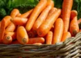 Baby Carrots V. Baby-Cut Carrots
