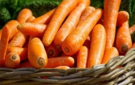 Baby Carrots V. Baby-Cut Carrots