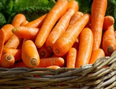 Baby Carrots V. Baby-Cut Carrots