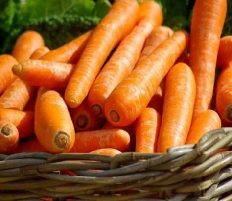 Baby Carrots V. Baby-Cut Carrots
