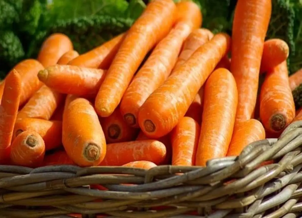 Baby Carrots V. Baby-Cut Carrots