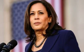 Harris-Secures-Delegates-Needed-To-Become-Democratic-Nominee.webp