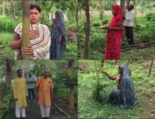 Planting Trees In Memory Of Loved Ones Greens Chhattisgarh Village