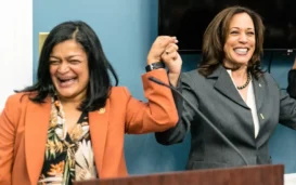 Raja Praises Biden, Other Reps Endorse Kamala