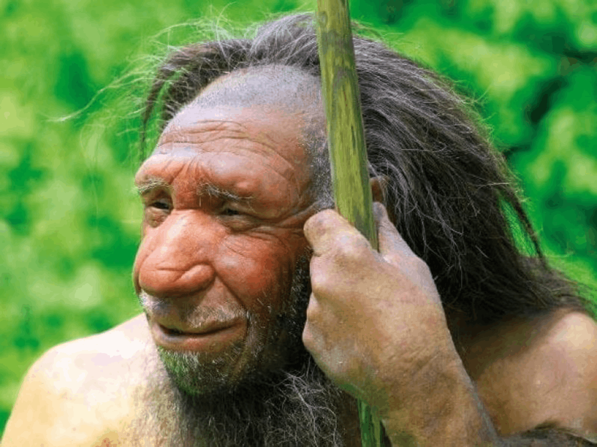 Scientists-Find-Gene-Connect-Between-Humans-Neanderthals.png