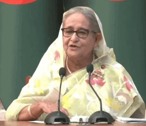 Indian Security Agencies With Air Force Ensured Safety Of Hasina’s Jet