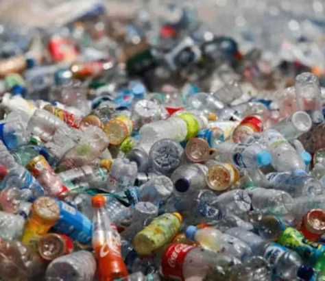 Lawmakers Must Keep Plastics Out To Save Nature