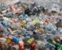 Lawmakers Must Keep Plastics Out To Save Nature