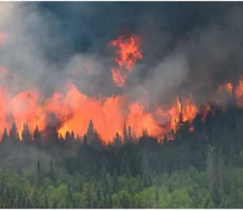 Only India, China, US, Emitted More Carbon Than Canada Wildfires