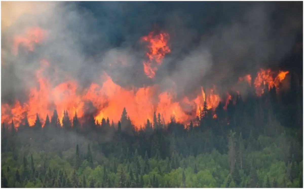 Only India, China, US, Emitted More Carbon Than Canada Wildfires