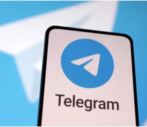 Telegram CEO Arrest Is A Fuzzy Warning To Big Tech