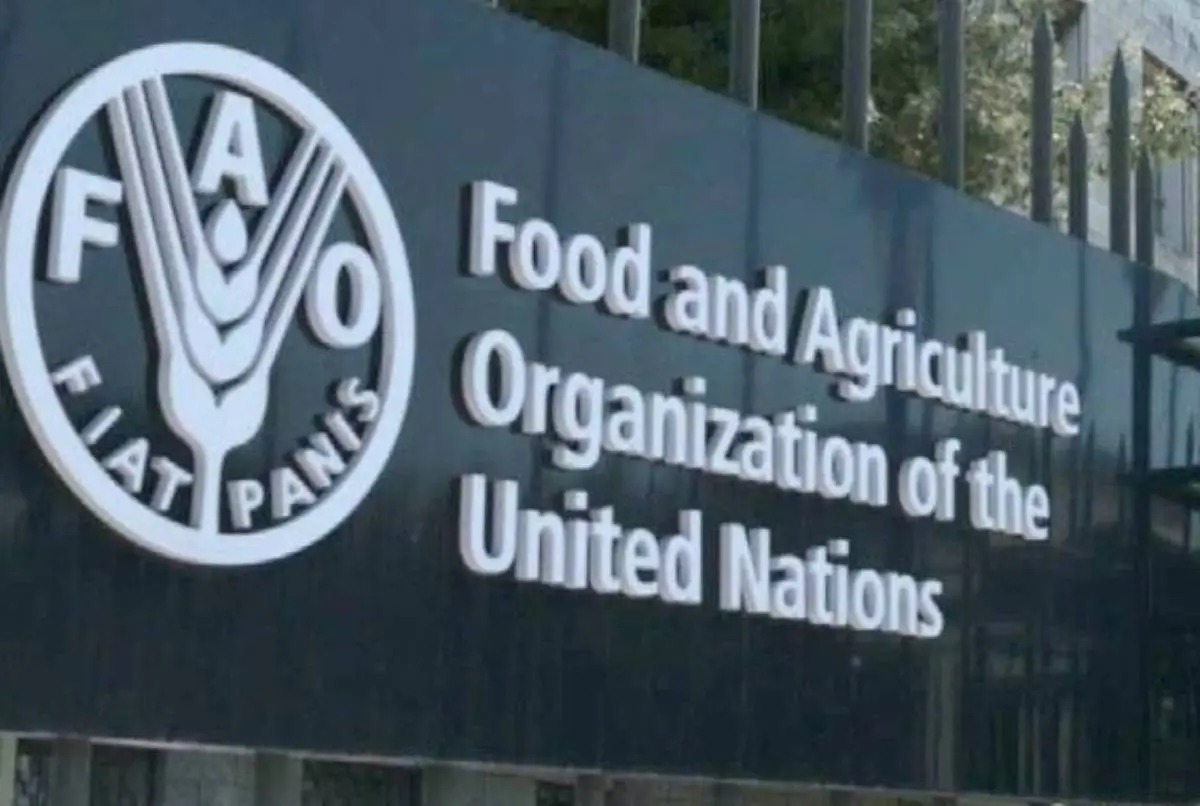 World Food Prices Declined Modestly In July: FAO