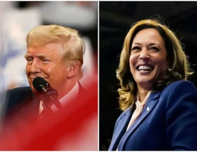 Asian Americans Will Vote Overwhelming For Harris: Survey