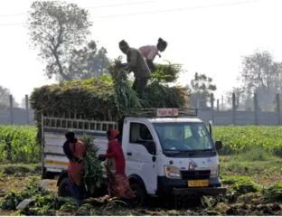 Ethanol Turns India Into Corn Importer, Shakes Global Market