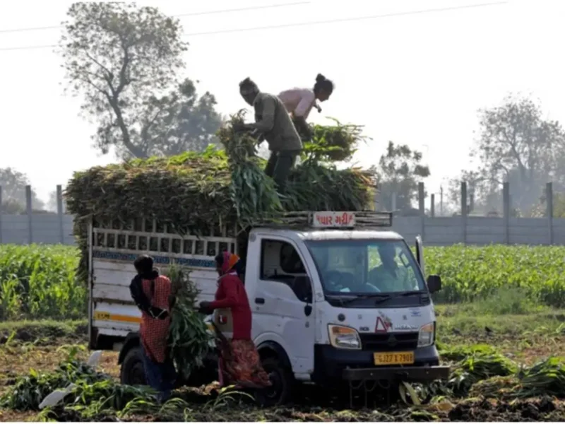 Ethanol Turns India Into Corn Importer, Shakes Global Market