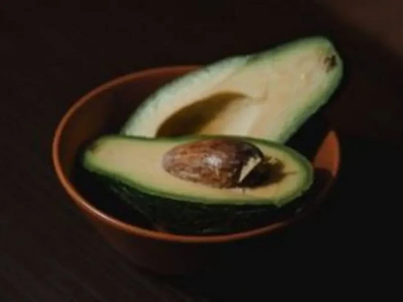 Mexico-Launches-Avocado-Certification-To-Curb-Deforestation.webp