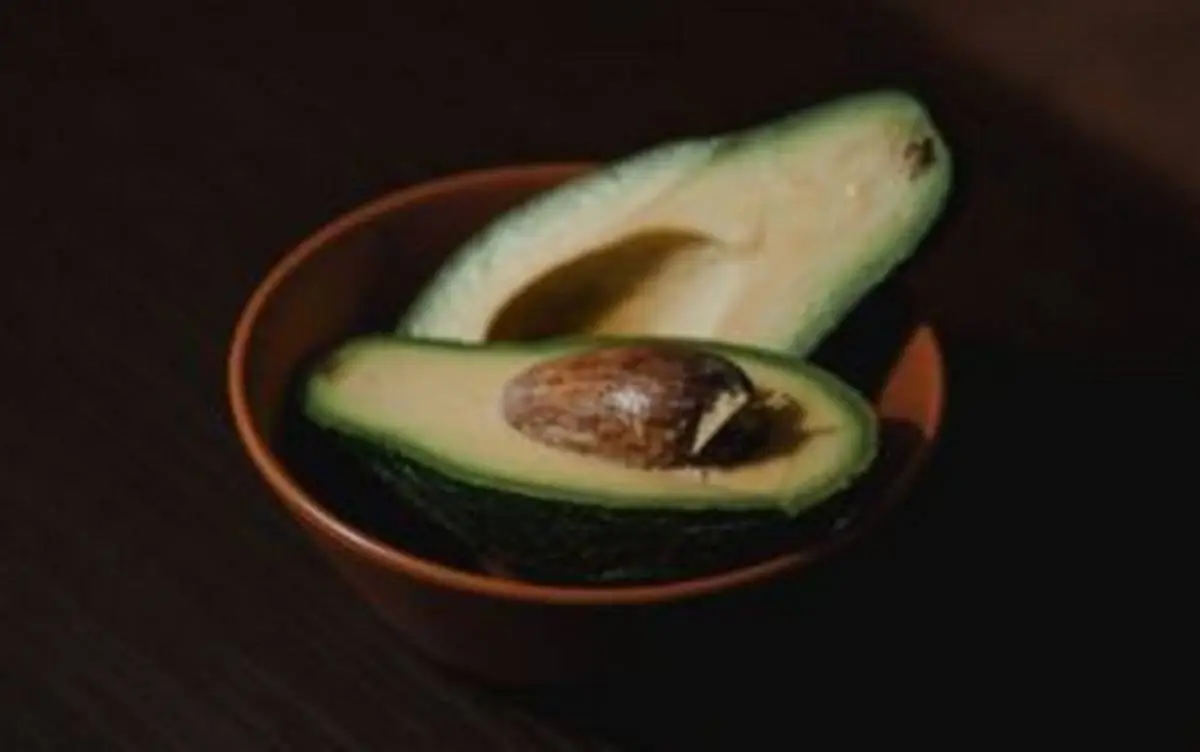 Mexico-Launches-Avocado-Certification-To-Curb-Deforestation.webp