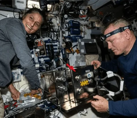 Sunita Williams Will Vote From Space