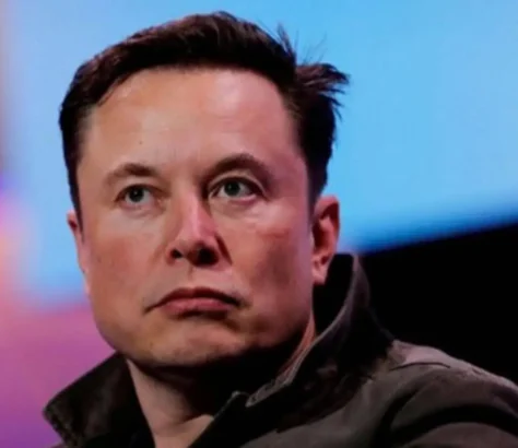 Elon Musk Was An Illegal In The 90s: Report