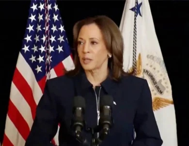 “Mean Spirited,” Says Harris On Childless Cat Lady Jibe