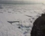 Toxic Foam Seen Floating On Yamuna River