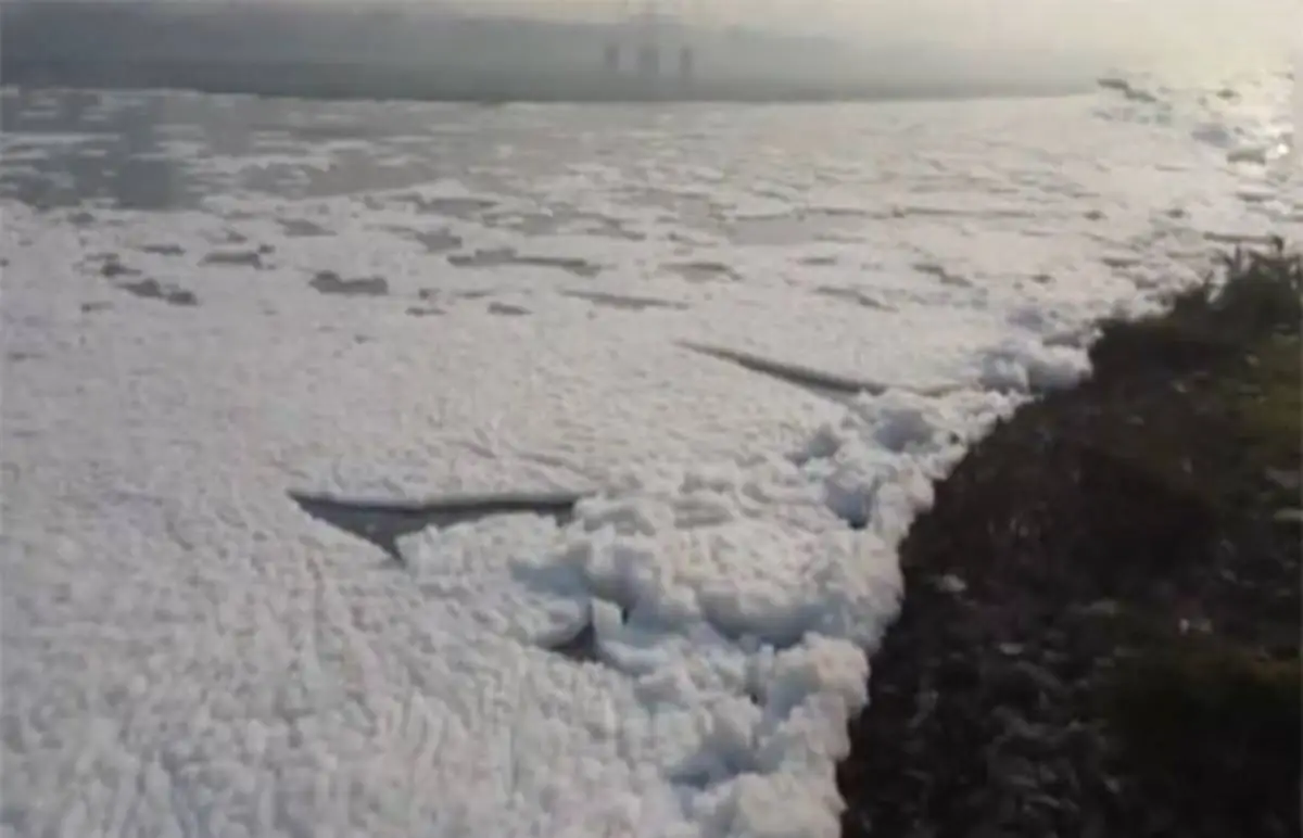 Toxic Foam Seen Floating On Yamuna River