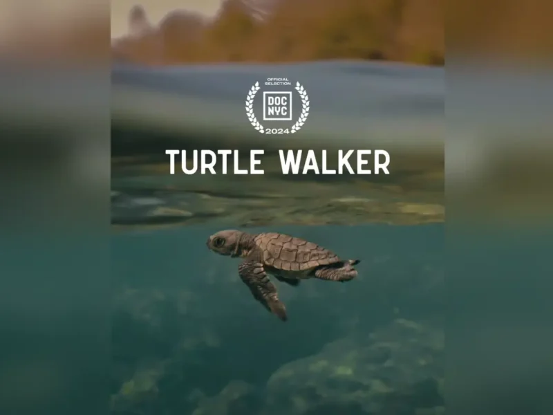 Zoya Akhtar Backed Documentary 'Turtle Walker' To Premiere In NY