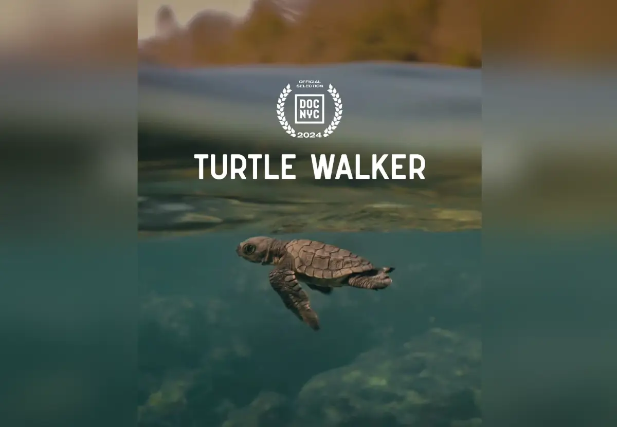 Zoya Akhtar Backed Documentary 'Turtle Walker' To Premiere In NY