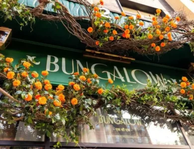 ‘Bungalow’ Named Among Top 50 Restaurants By NYT