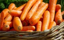 CDC Recalls Carrots After E. Coli Outbreak