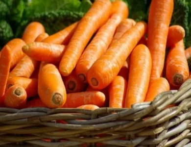 CDC Recalls Carrots After E. Coli Outbreak