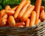 CDC Recalls Carrots After E. Coli Outbreak