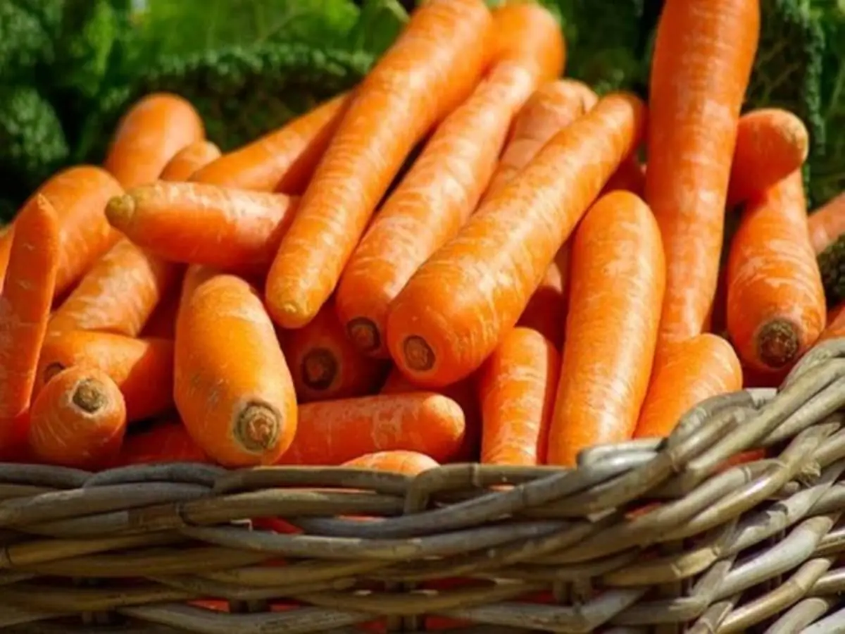 CDC Recalls Carrots After E. Coli Outbreak