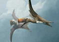 Cousins Of Dinosaurs: Ancient Flying Reptiles