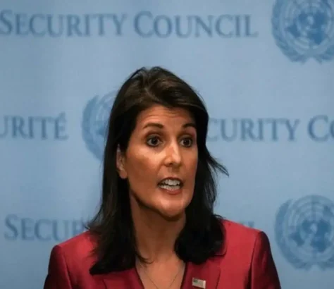 Nikki Haley Takes Aim At MSNBC Hosts Over Trump Meeting