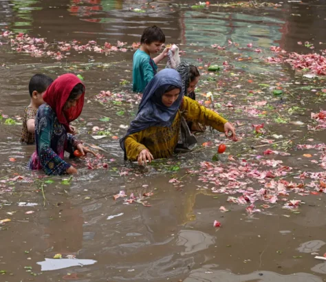 The Political Economy Of Climate Change In South Asia