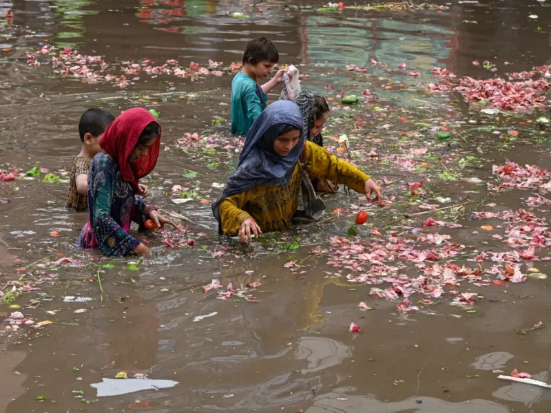 The Political Economy Of Climate Change In South Asia