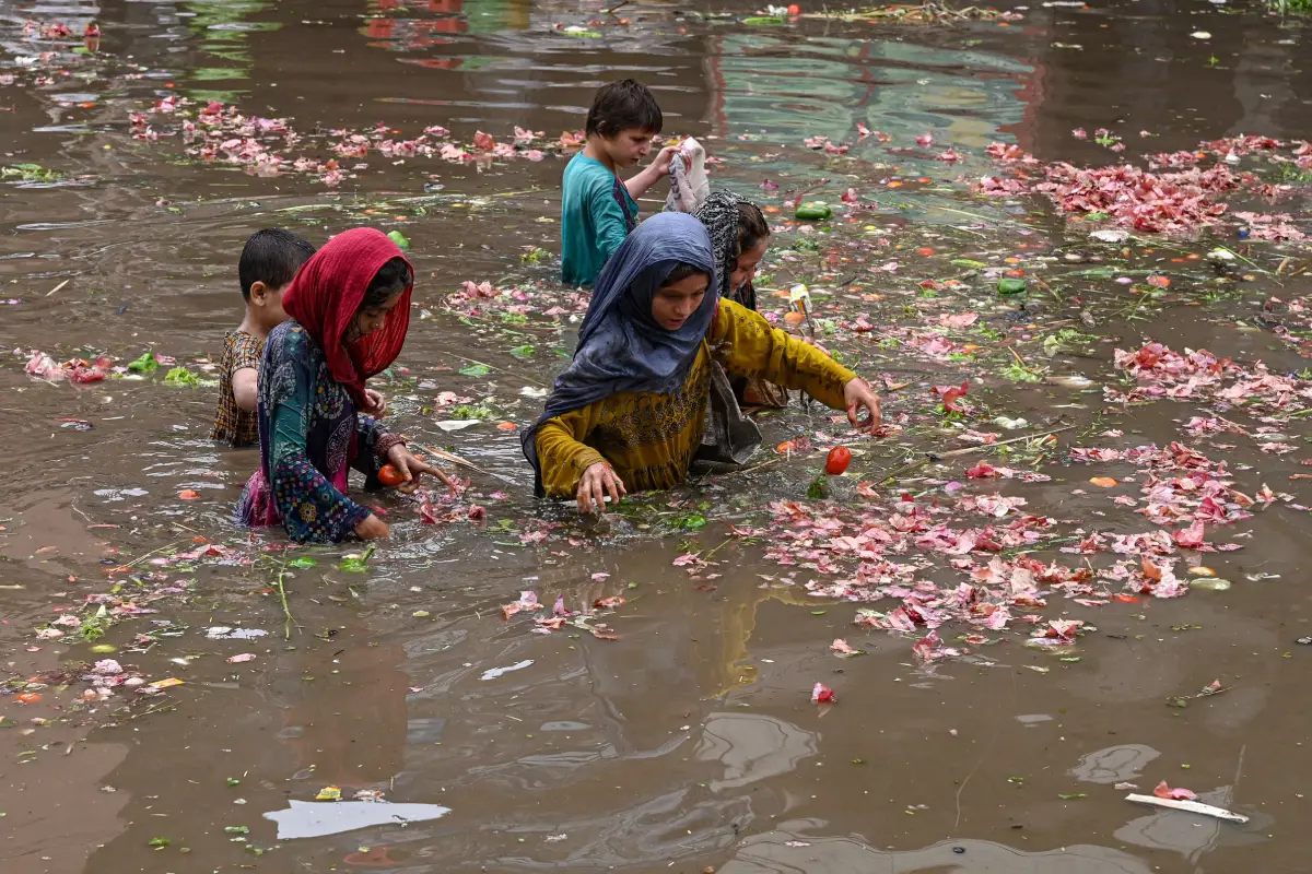 The Political Economy Of Climate Change In South Asia