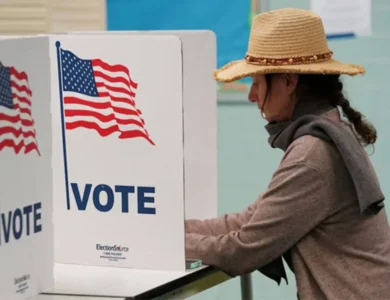 Your Vote Is Your Voice: Harris; Defeat Corrupt Establishment: Trump