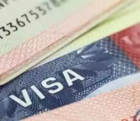 38% Decline In Indian Students Getting F-1 Visas In 2024